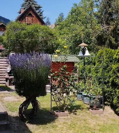 Anna Ilona Vendeghaz Guest house 3*