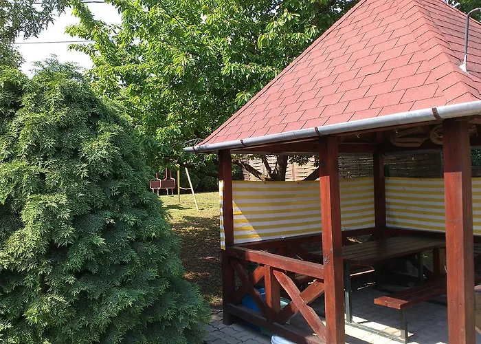 Anna Ilona Vendeghaz